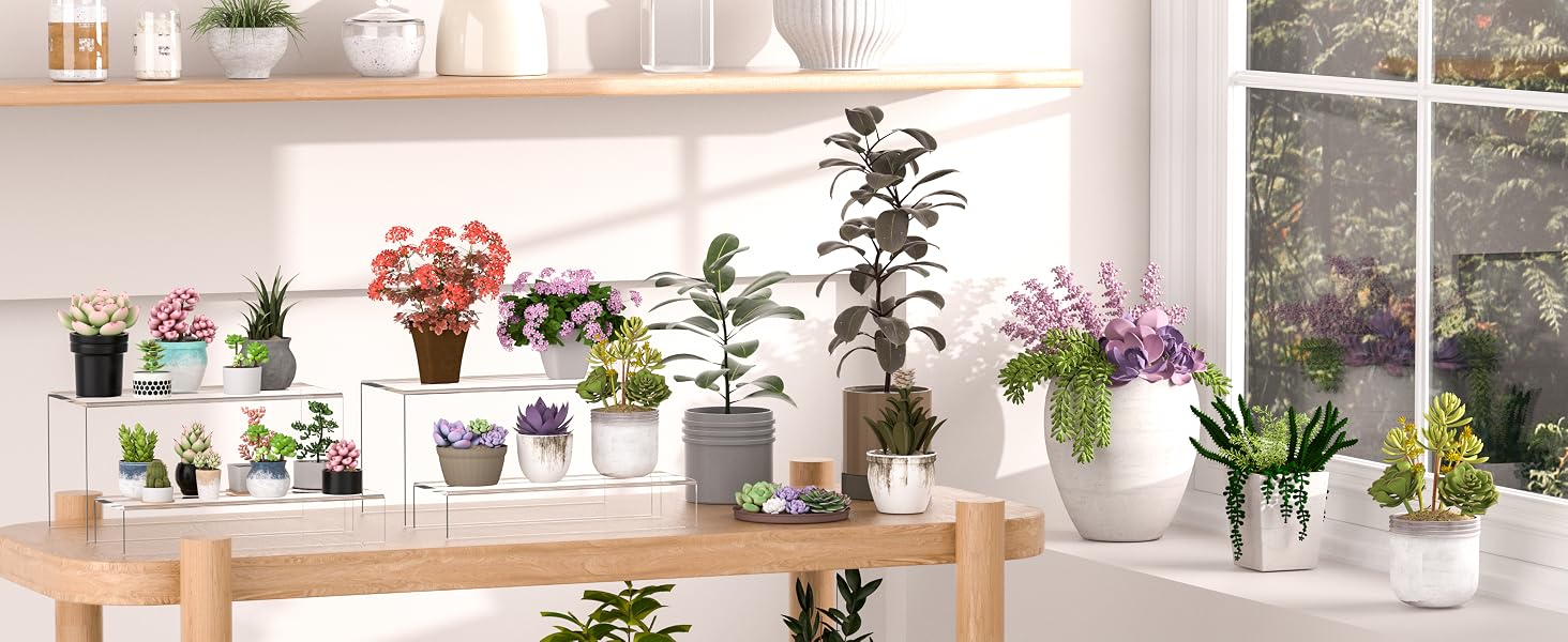 Acrylic Risers for Plants