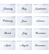 XiowDow Frosted Money Saving Envelopes A6 Binder Pockets 12 Months Printed Labeled Cash Envelopes...