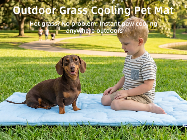 dog cooling mat
