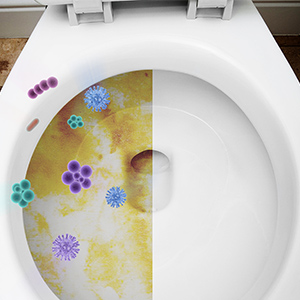 Pumice Stone for Toilet Cleaning