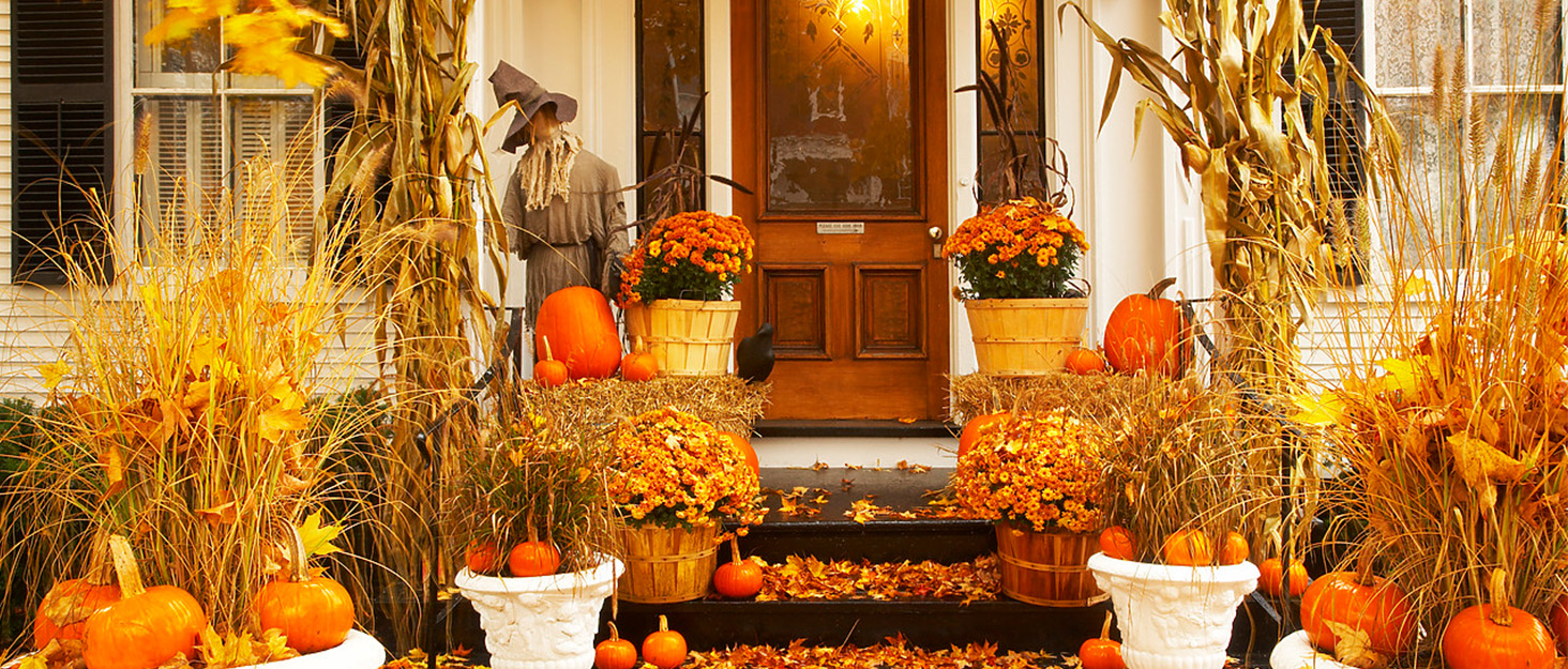 Autumn Harvest