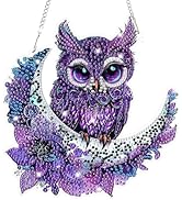 Bowetile Owl Diamond Art Hanging Kits for Adults Kids, 5D Special Shape Diamond Painting Moon Pen...