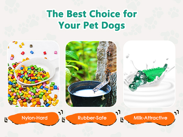 dog chew toy