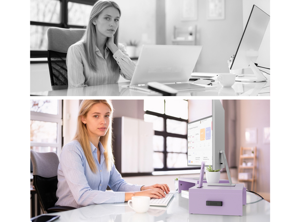 Dual Monitor Stand Riser