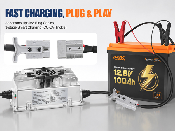 ABKpower 14.6V 20A LiFePO4 Battery Charger, AC-DC Smart Charger with Anderson Connector