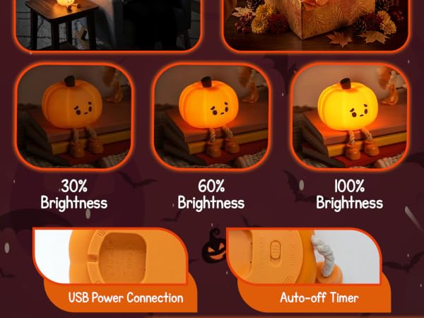 11390 - Pumpkin Lamp (4)