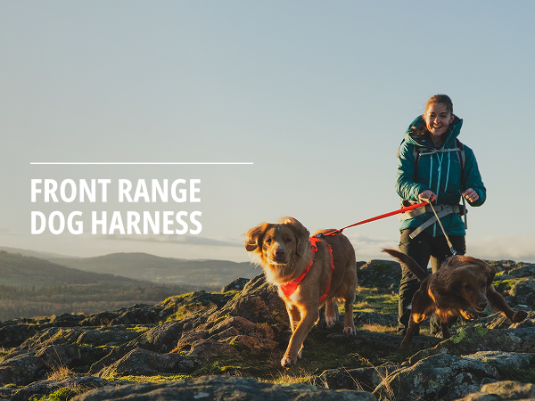 Comfortable no pull dog harness designed to reduce pulling and improve walking control.