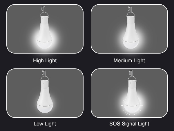 Rechargeable Light Bulb with Remote