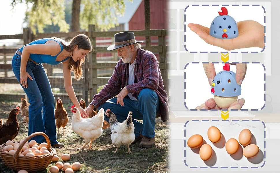 egg washer for fresh eggs
