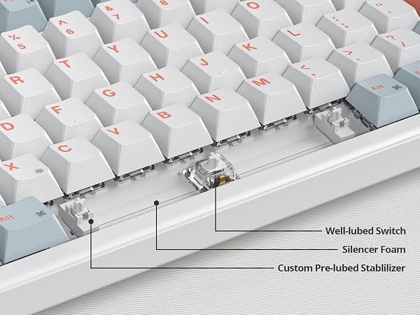 Lubed switch