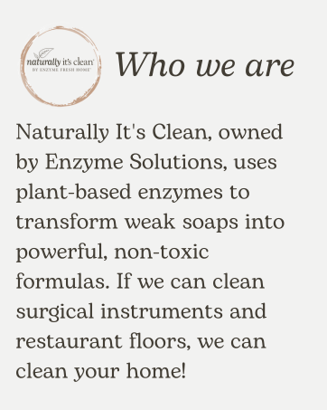 Naturally It's Clean - Who We Are