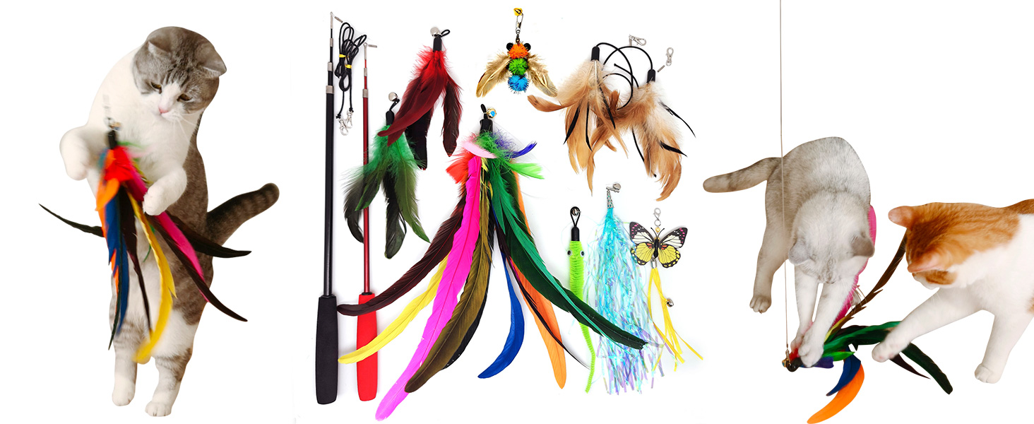 Retractable Cat Wand Toy and Feather Toys 1