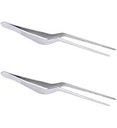2Pcs Ear Tweezer Professional Spiral Design Stainless Steel Lighting Ear Tweezer Ear Clip Dug Ear...