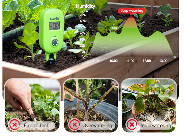 plant moisture meter houseplants
