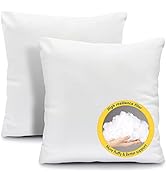 Fixwal 16x16 Throw Pillow Inserts Set of 2, Hypoallergenic Square Pillow Forms, Soft Microfiber F...