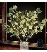 Eucalyptus Lighted Branches for Vases 24IN 30000H Warm White with 180, Artificial White with Ligh...