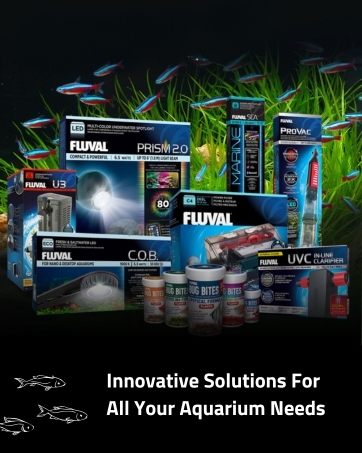 Fluval_Module_1