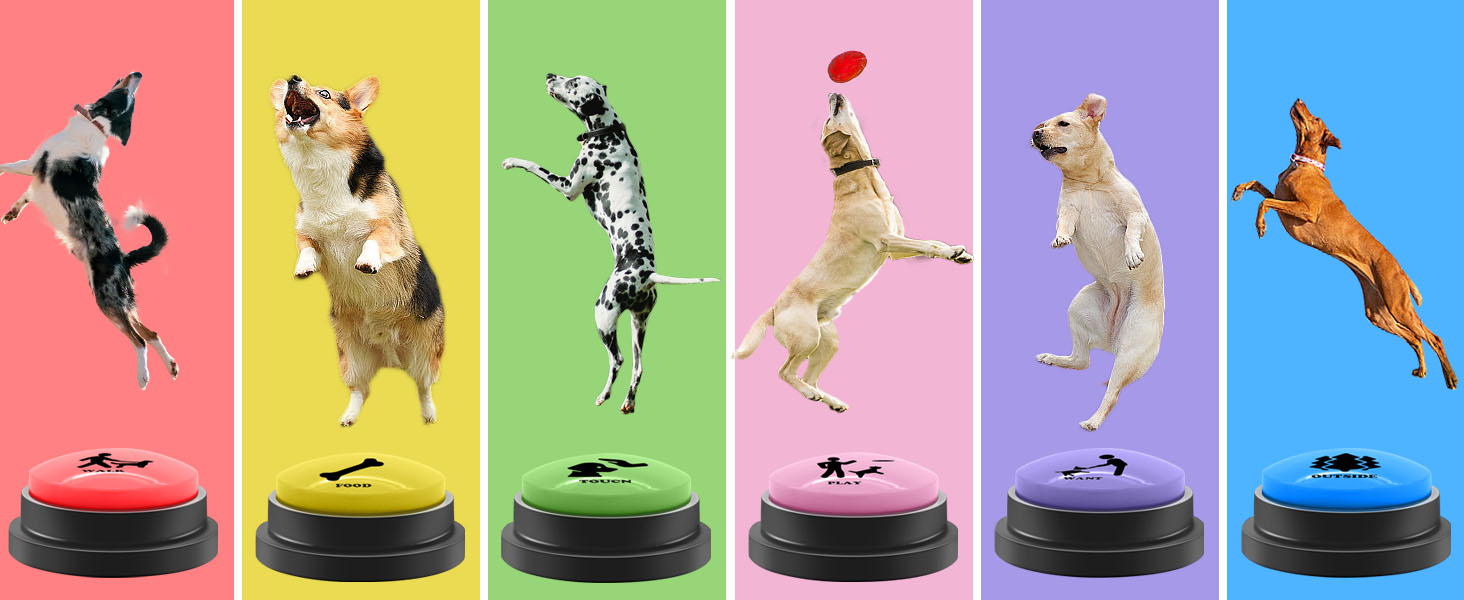 Dog talk button set