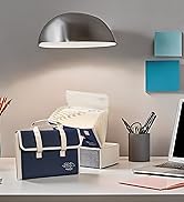 Canvas Accordion File Organizer