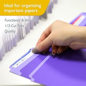 1/3 Cut Letter Size Color File Folder