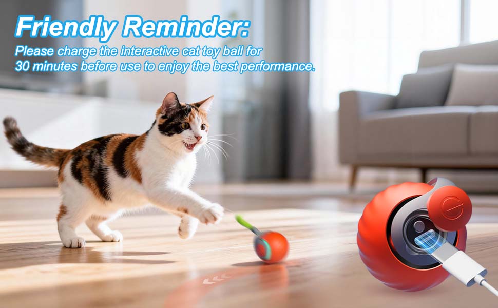Text reads 'Friendly Reminder:'. Series of images showing a red self-rolling ball toy moving across hardwood floor with a cat following and interacting with it.