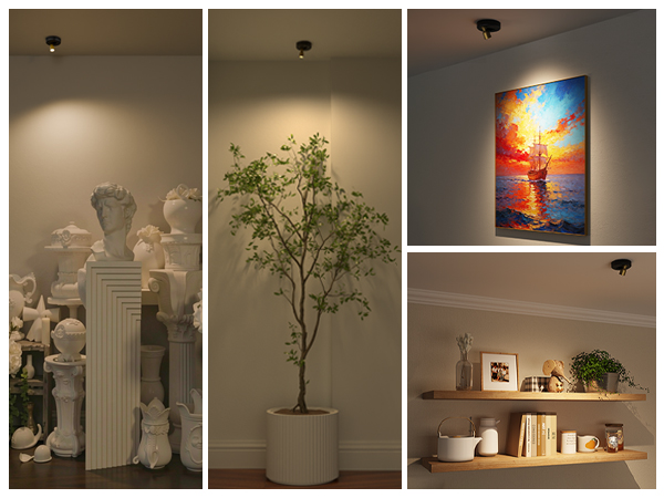 Rechargeable Spotlight