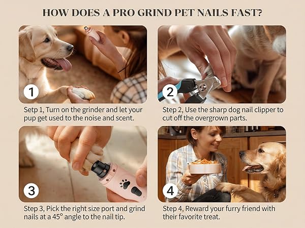 how to clip and grind dog and cat nails like a pro