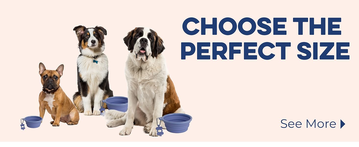 Collapsible Bowl