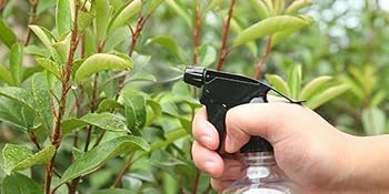 spray bottle for hair