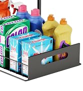 sliding cabinet organizer