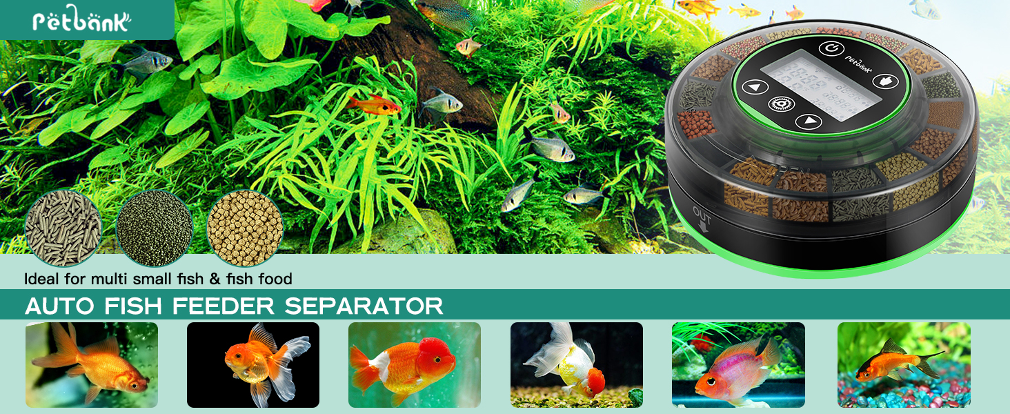 auto feeder fish tank
