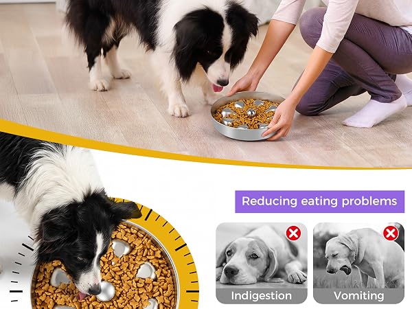 slow feeder dog bowls