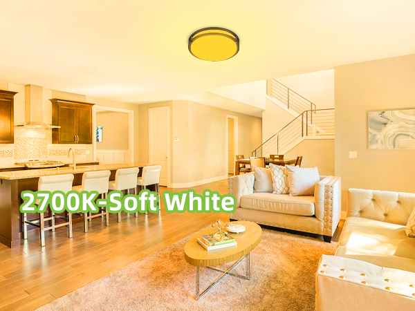 Flush Mount LED Ceiling Light Fixture