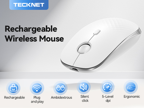 mouse