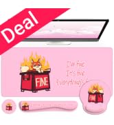 iCasso Pink Dumpster on Fire Accessories Themed Stuff,It’s Fine I’m Fine Everything is Fine, Funn...