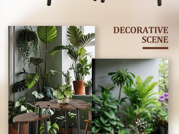 decor