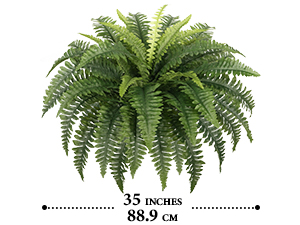 faux ferns