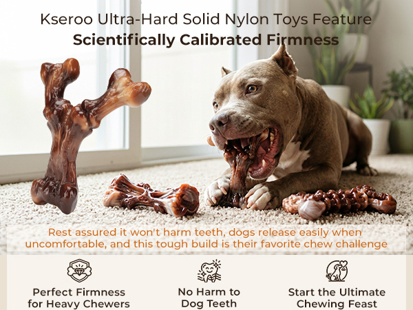 Custom Ultra-Hard Dog Toy, Teeth-Friendly, Perfect Chew Treat