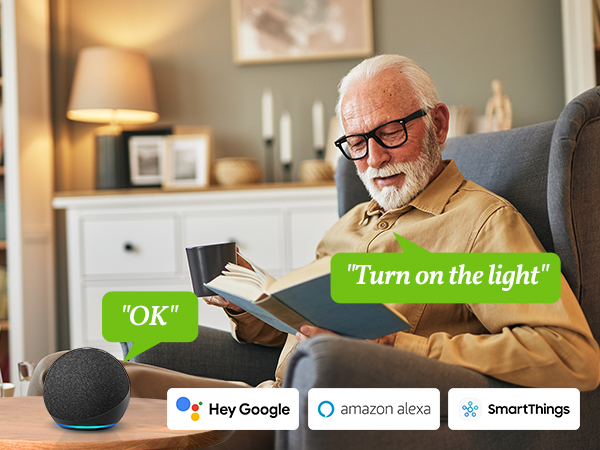 GHome Smart Plug Outlet Extender 15A