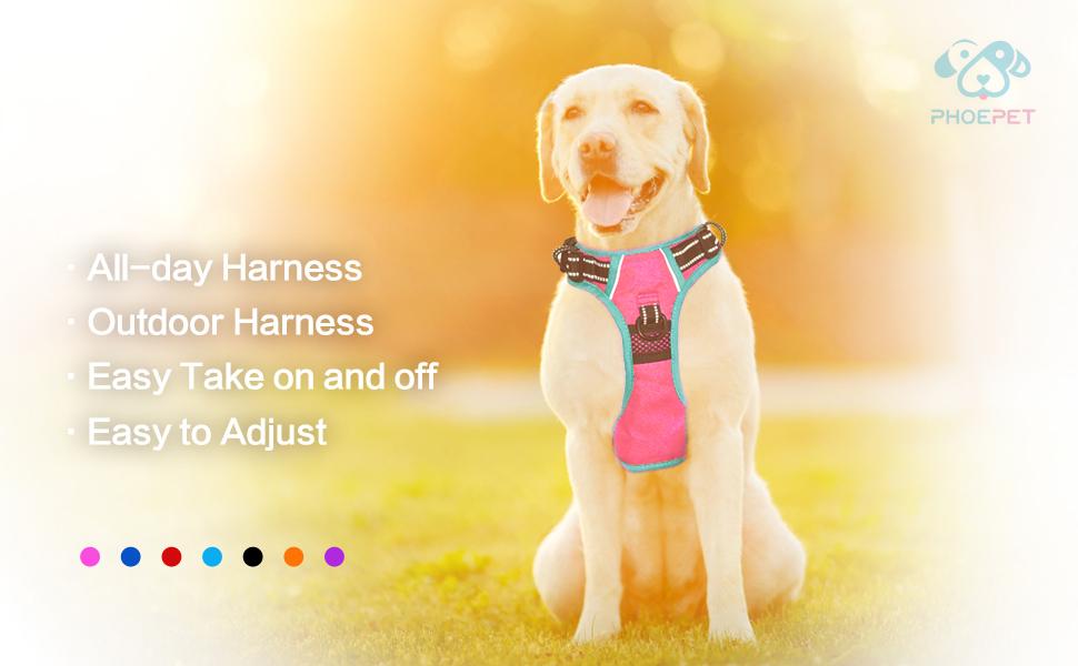 2019 Dog Harness