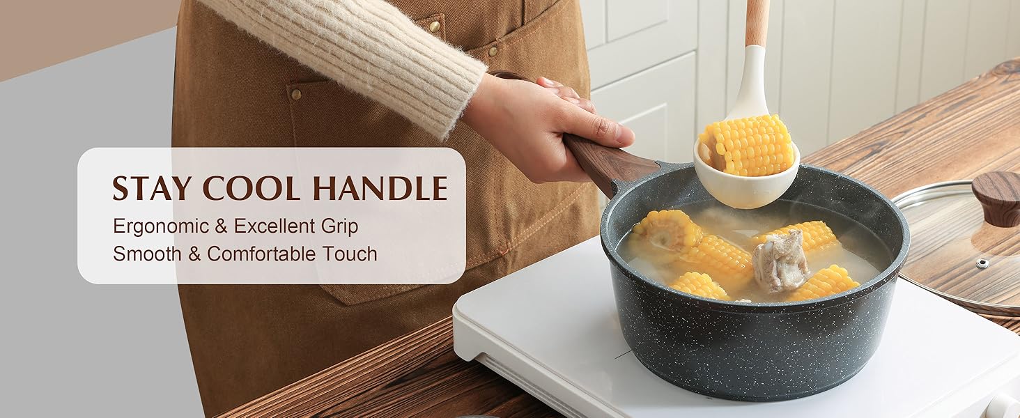 nonstick saucepan with lid