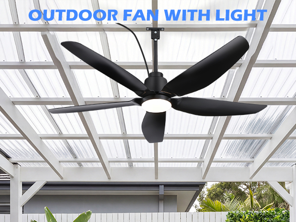 ceiling fans with lights