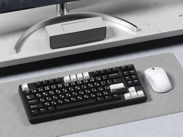 black Japanese keycaps