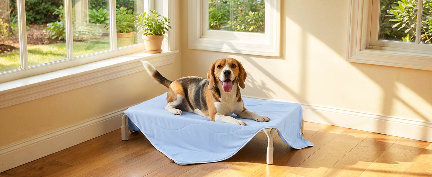 cooling blanket for dogs