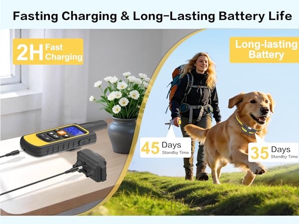 shock collar with remote