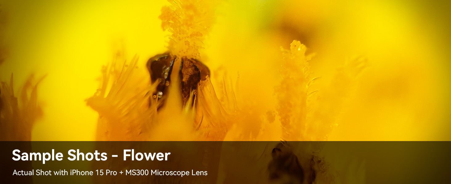 APEXEL 300X Phone Microscope Lens