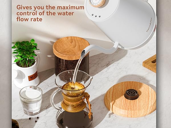 electric kettle
