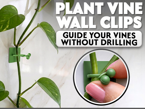 plant stuff plant hangers plan?t decor garden accessories adhesive cable clips plant trellis indoor