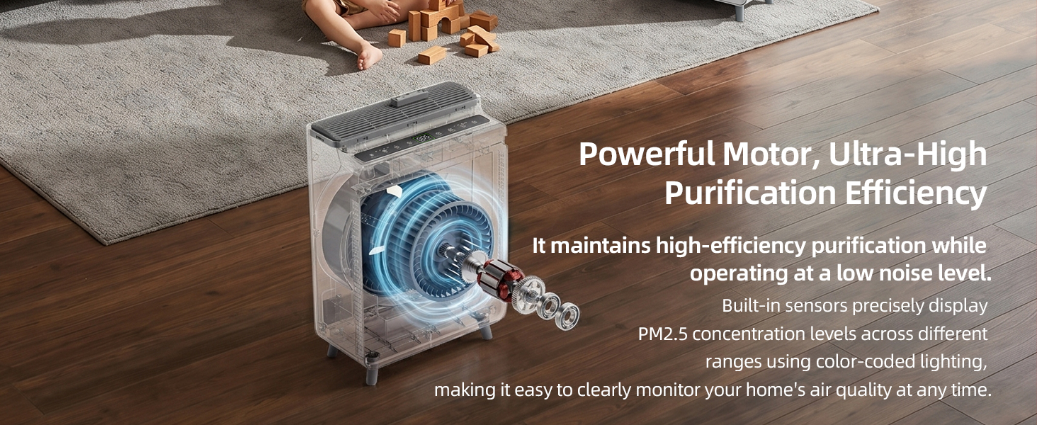 Air Purifier for Home Large Room
