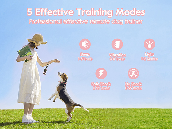 e collar for dogs training
